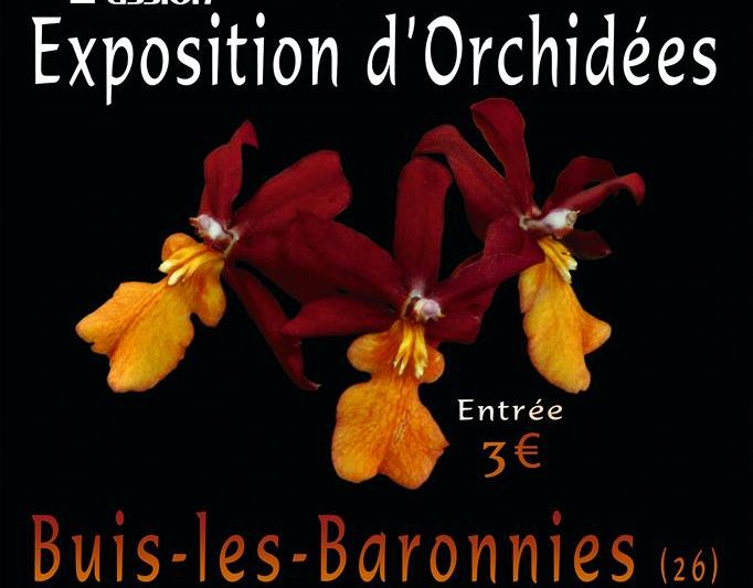 14° Exposition d’Orchidèes – 5-6 mars 2016 – Buis-les-Baronnies (Fr)