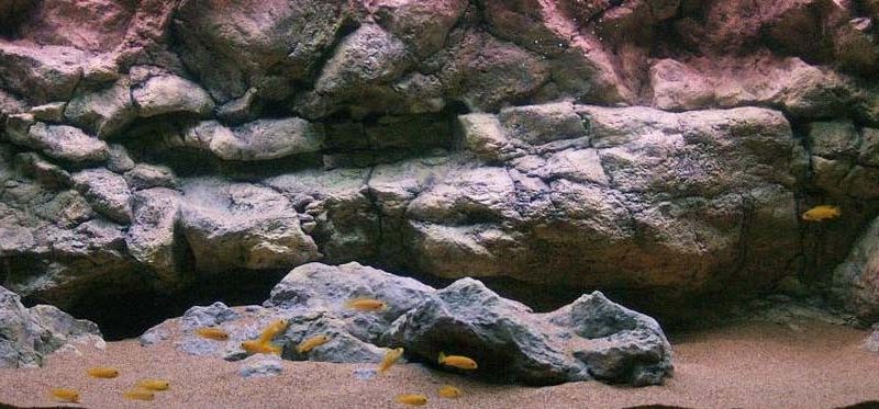Tutorial costruzione sfondo roccioso acquario/terrario