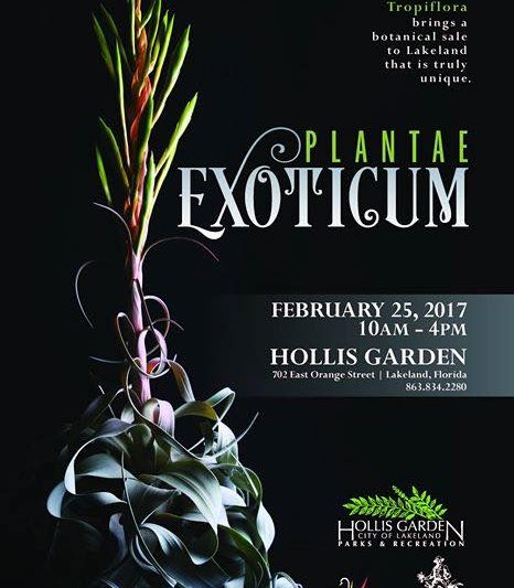 PLANTAE EXOTICUM – 25 February 2017 – Lakeland (FL) – USA