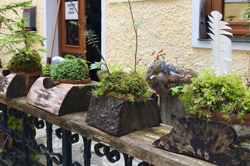 Wabi Kusa and Kokedama with a difference, in the rustic Austrian Alpine style