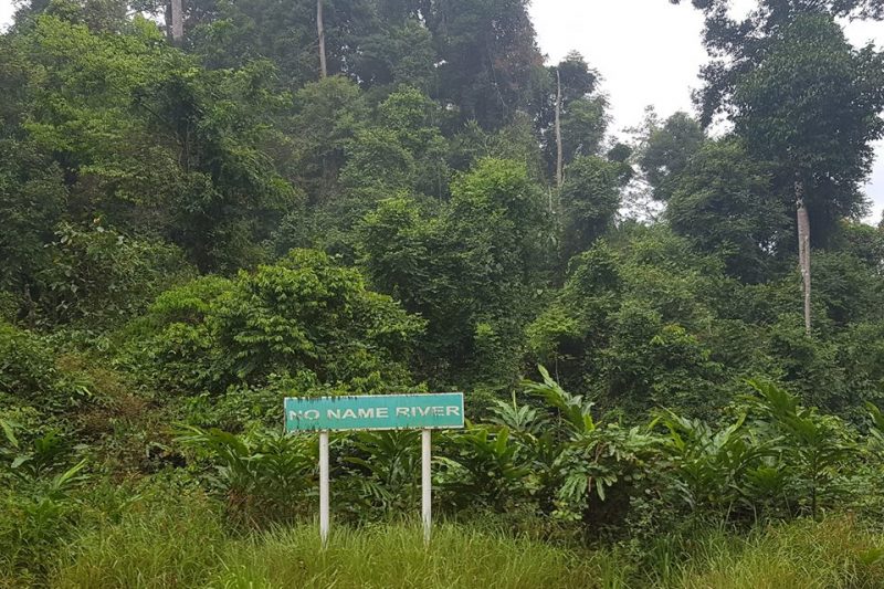 Sabah – Malaysia – Deramakot Forest Reserve – photo Grzegorz Zietarski