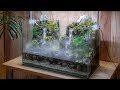 Making an Aquaterrarium with two waterfalls