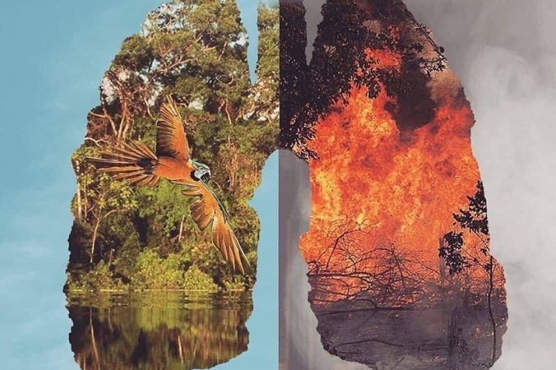 Brasile, incendi record bruciano l’Amazzonia.